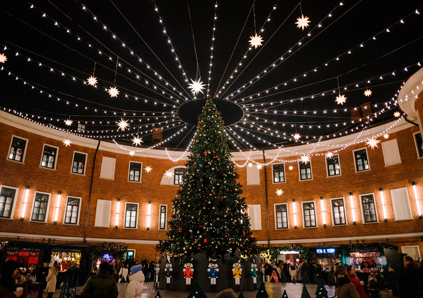 Новогодние развлечения в Новой Голландии