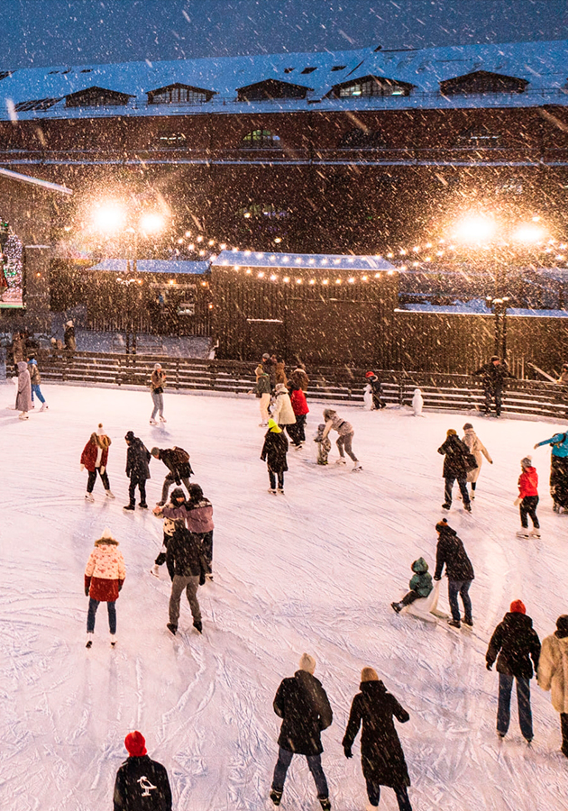 Новогодние развлечения в Новой Голландии