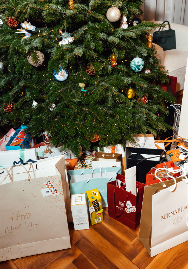 Предновогодний квартирник Volga Dream