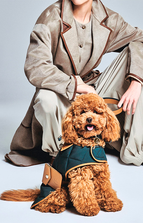 Fashion Digest: цвет года Pantone, запрет меха на&nbsp;Неделе моды в&nbsp;Нью-Йорке и&nbsp;кадровые перестановки в&nbsp;Versace