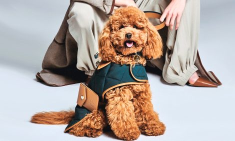 Fashion Digest: цвет года Pantone, запрет меха на&nbsp;Неделе моды в&nbsp;Нью-Йорке и&nbsp;кадровые перестановки в&nbsp;Versace