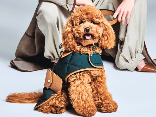 Fashion Digest: цвет года Pantone, запрет меха на&nbsp;Неделе моды в&nbsp;Нью-Йорке и&nbsp;кадровые перестановки в&nbsp;Versace