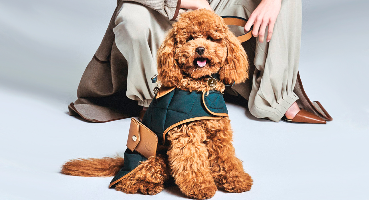 Fashion Digest: цвет года Pantone, запрет меха на Неделе моды в Нью-Йорке и кадровые перестановки в Versace