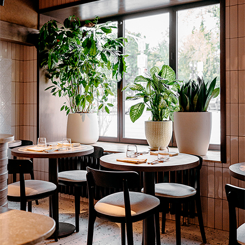 Идея на&nbsp;выходные: ресторан Avero Mio&nbsp;&mdash; признание в&nbsp;любви Италии от&nbsp;старой Москвы