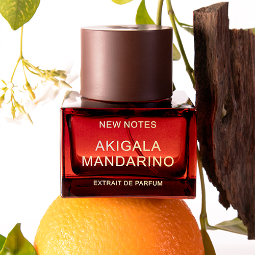 Магия Рождества: исследуем праздничные традиции Италии через ароматы