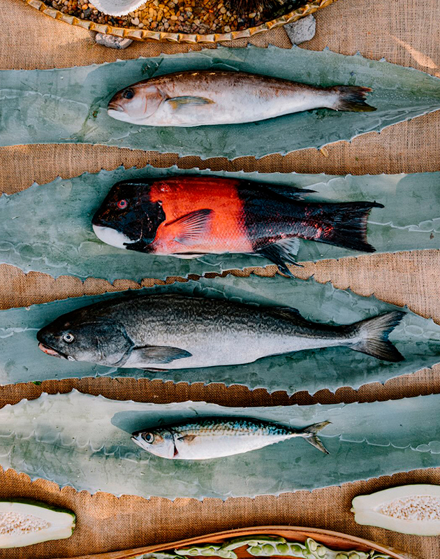 Весной в Лос-Анджелесе откроется поп-ап ресторана Noma