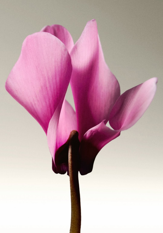 Дебют Джонатана Андерсона в роли кутюрье для Dior