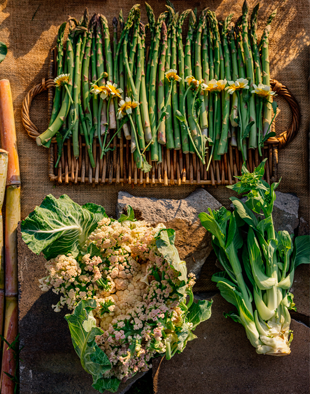 Весной в Лос-Анджелесе откроется поп-ап ресторана Noma