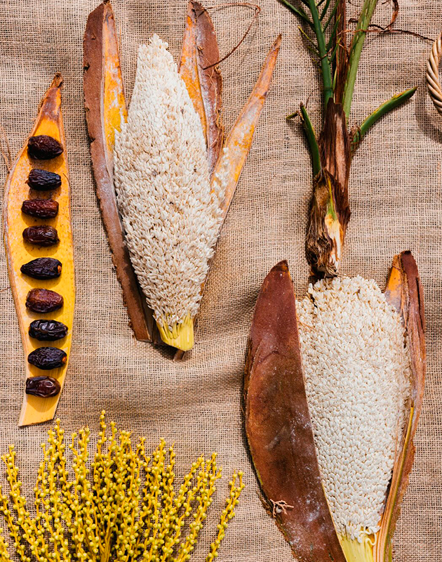 Весной в Лос-Анджелесе откроется поп-ап ресторана Noma