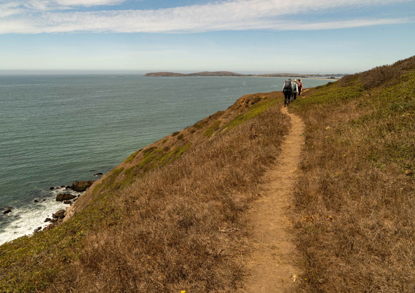 В Калифорнии открыли для посетителей заповедник Estero Americano Coast Preserve