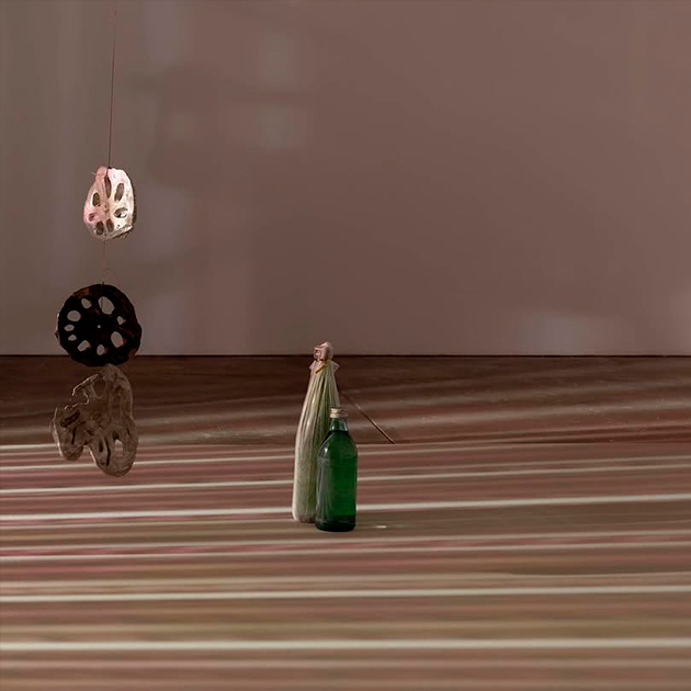 Лотус Л. Канг. Azaleas II. 2025 г.