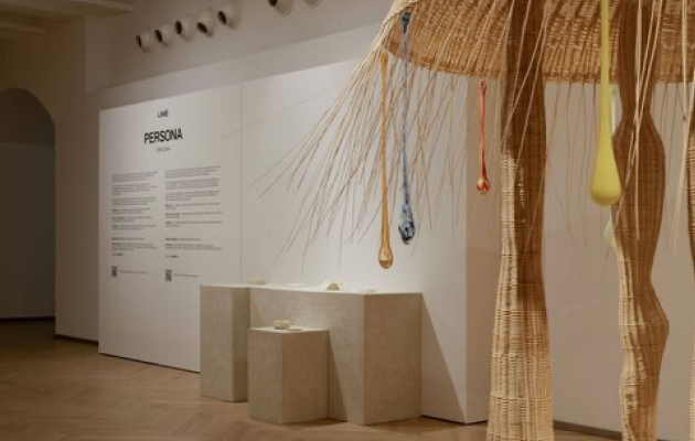 Международный проект «Persona — Персона»