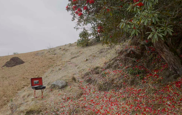 Чэнь Синьхао. Musica Proibita 