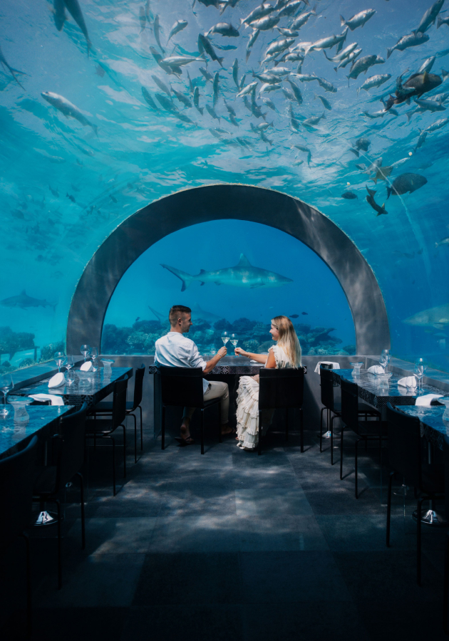 You and Me Maldives (Мальдивы)