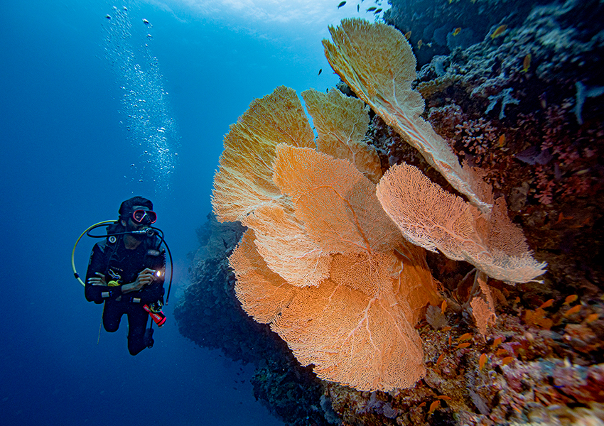 Kuredhivaru Resort & Spa Maldives (Мальдивы)