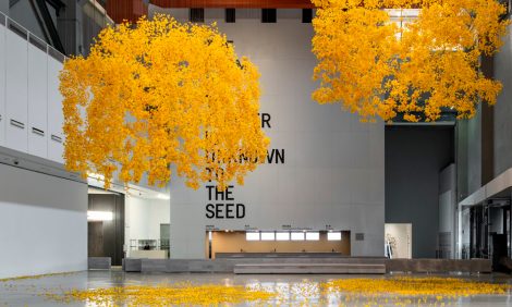 &laquo;Слышит&nbsp;ли цветок пчелу?&raquo;: что смотреть на&nbsp;15-й Шанхайской биеннале