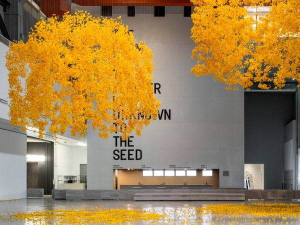 «Слышит ли цветок пчелу?»: что смотреть на 15-й Шанхайской биеннале