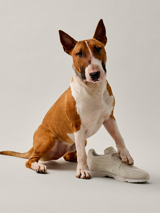 Axel Arigato выпустил промо с собаками