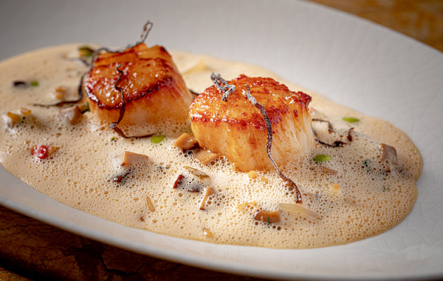 The Halcyon Private Isles