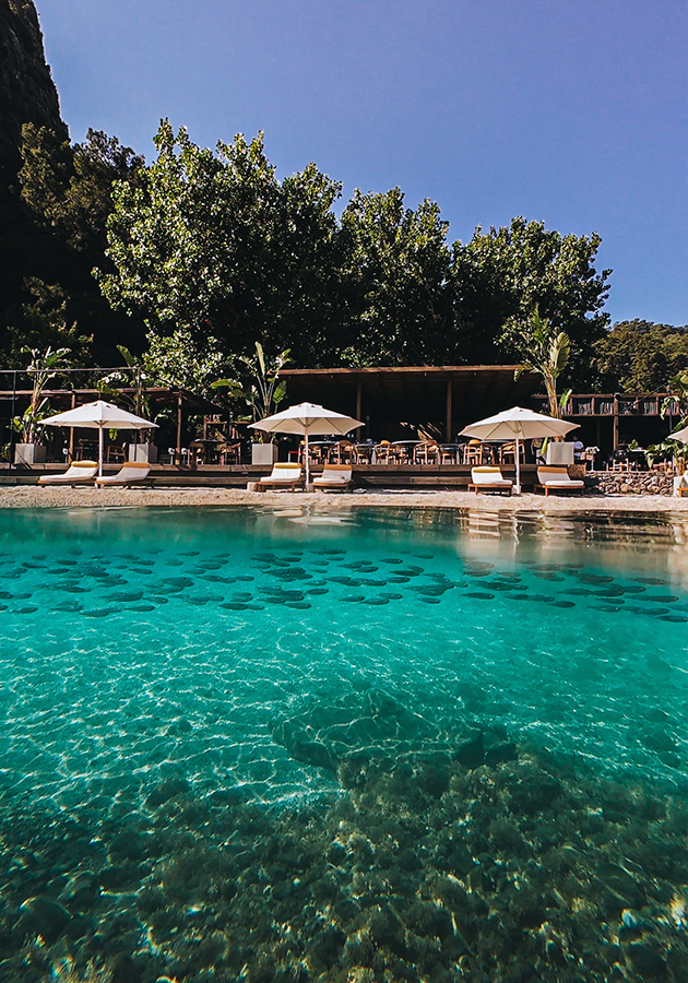 Yazz Collective (Турция)