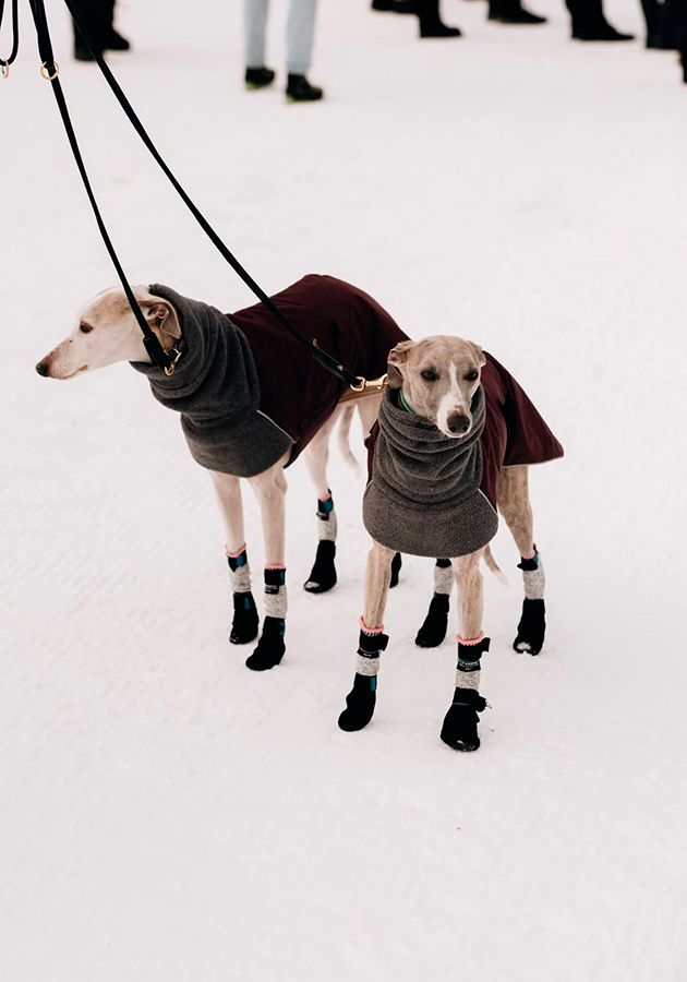 В Санкт-Морице вновь прошел праздник «элегантности и красивых автомобилей» ICE St. Moritz 2026