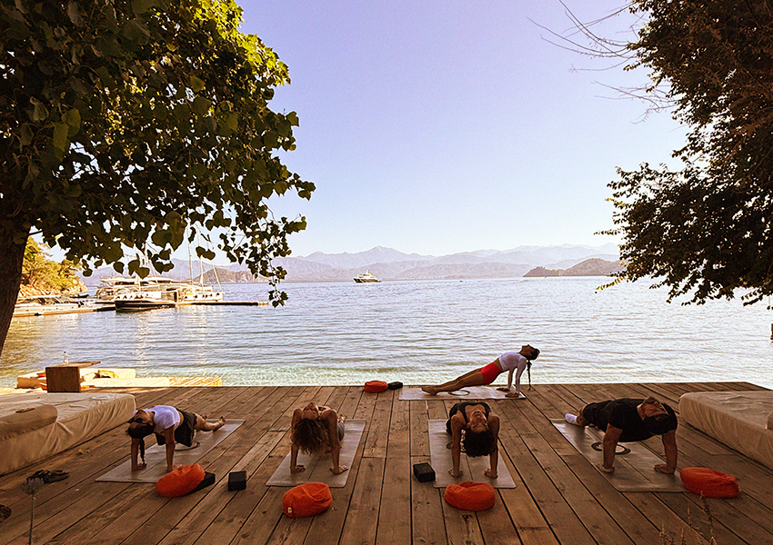 Yazz Collective (Турция)