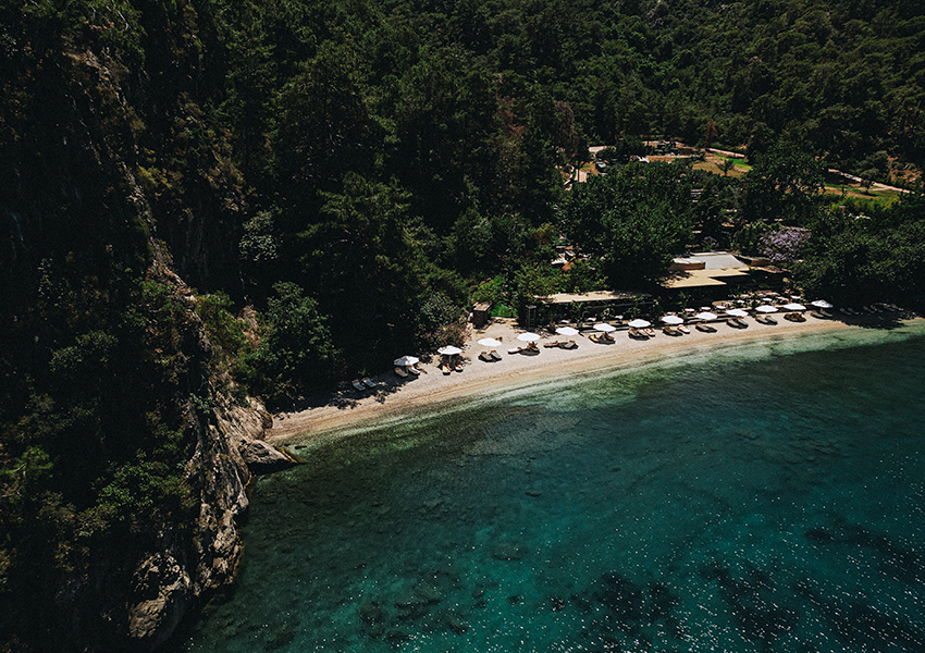 Yazz Collective (Турция)