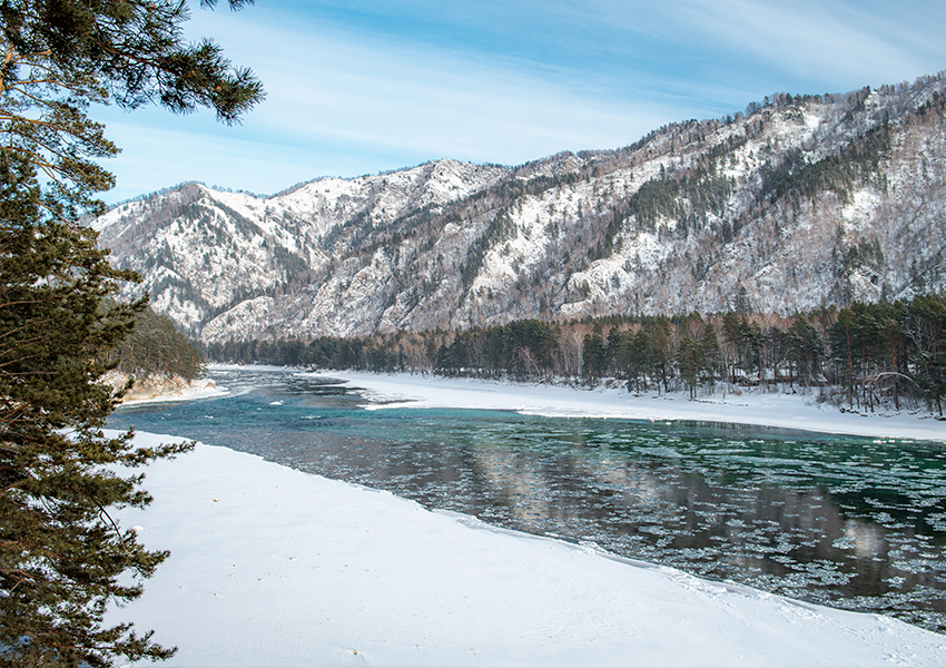 «Шамбала» (Россия)