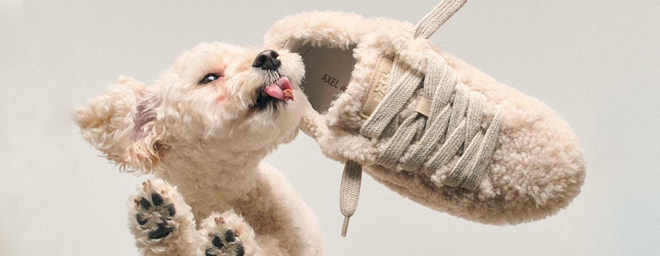 Fashion Digest: новый дизайнер Versace, Ксения Собчак&nbsp;&mdash; &laquo;лицо&raquo; конной коллекции и&nbsp;самая милая реклама обуви