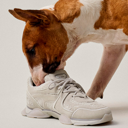 Fashion Digest: новый дизайнер Versace, Ксения Собчак&nbsp;&mdash; &laquo;лицо&raquo; конной коллекции и&nbsp;самая милая реклама обуви