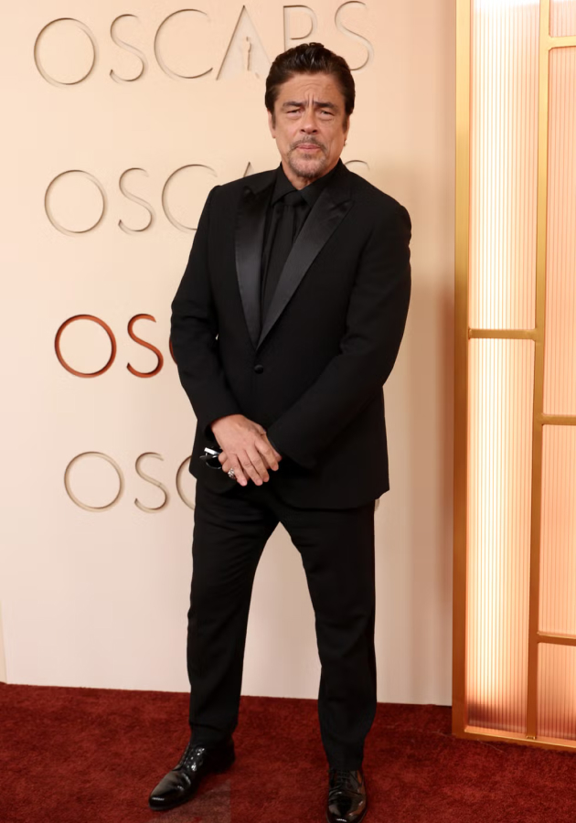 Бенисио дель Торо