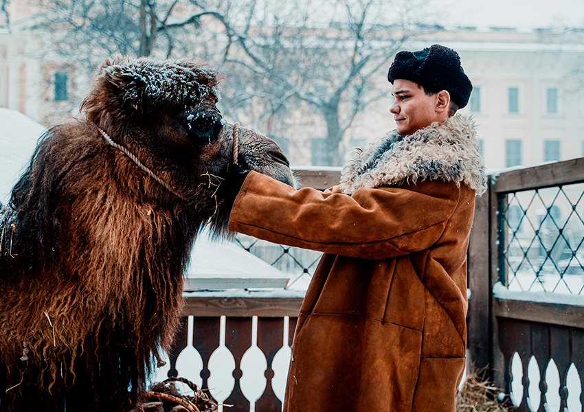 Кадры из фильма «Красавица»