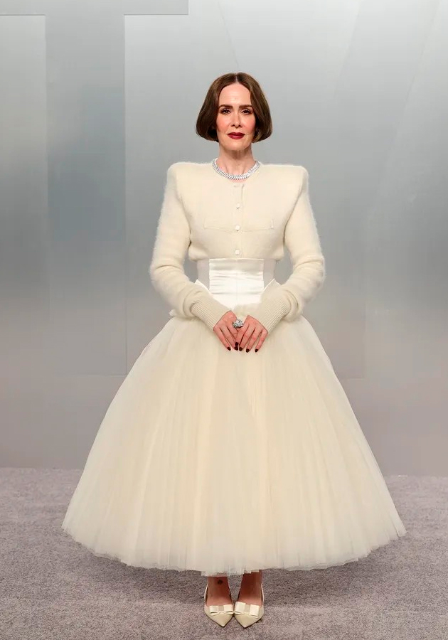 Сара Полсон (Фото: Amy Sussman, Getty Images, Vanity Fair)