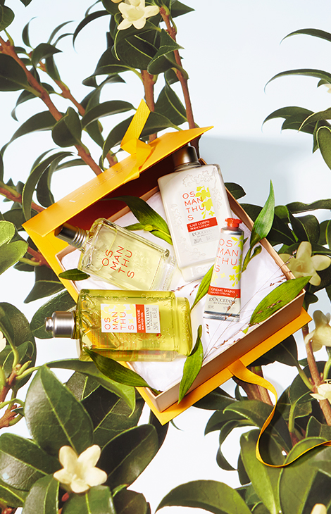 Идея подарков: бьюти-наборы к&nbsp;8&nbsp;Марта&nbsp;&mdash; для красоты в&nbsp;любых проявлениях