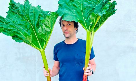 &laquo;Я&nbsp;стажировался у&nbsp;Рене Редзепи в&nbsp;Noma&raquo;: в&nbsp;чем обвиняют знаменитого шеф-повара&nbsp;&mdash; и&nbsp;кто встал на&nbsp;его защиту?