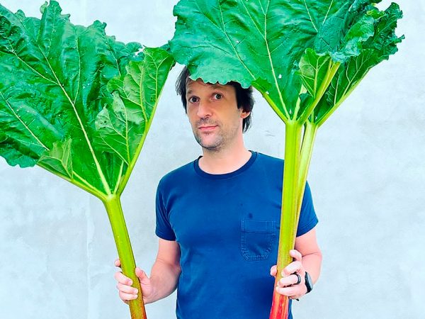 Я&nbsp;стажировался у&nbsp;Рене Редзепи в&nbsp;Noma": в&nbsp;чем обвиняют знаменитого шеф-повара&nbsp;&mdash; и&nbsp;кто встал на&nbsp;его защиту?