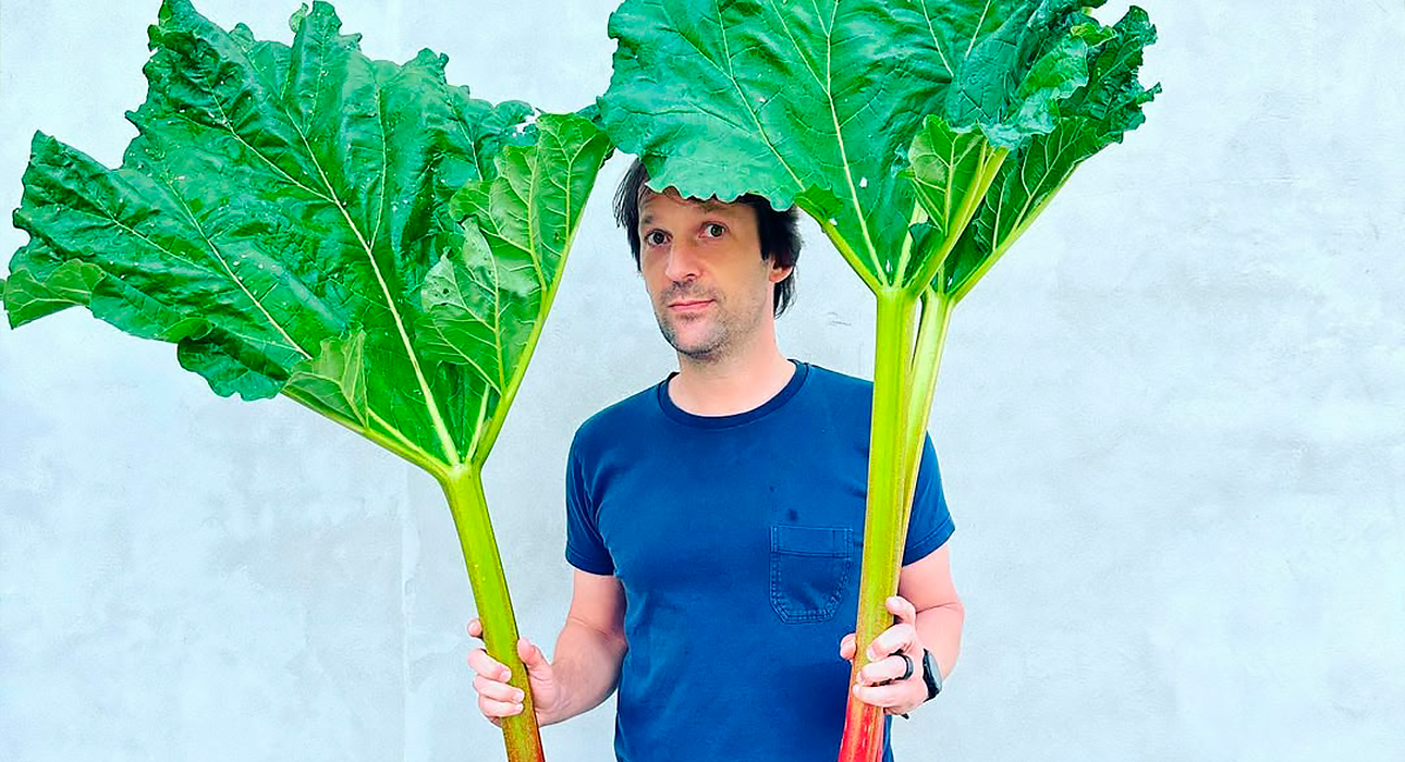 «Я стажировался у Рене Редзепи»: в чем обвиняют знаменитого шеф-повара — и кто встал на его защиту?