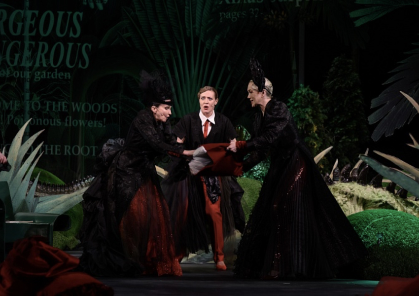 «8 разгневанных женщин»