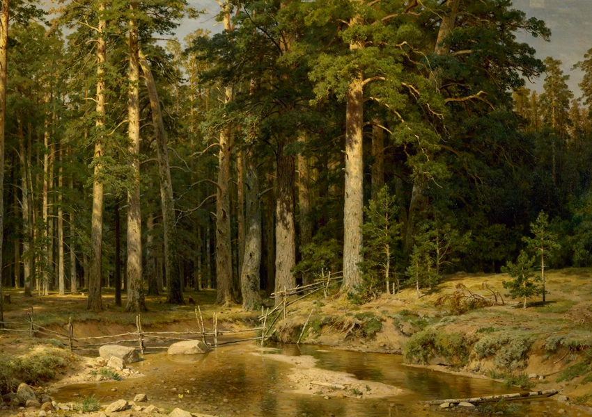 И.И. Шишкин. Корабельная роща. 1898 г.