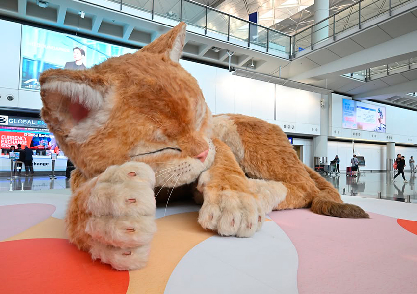 Фото: международный аэропорт Гонконга