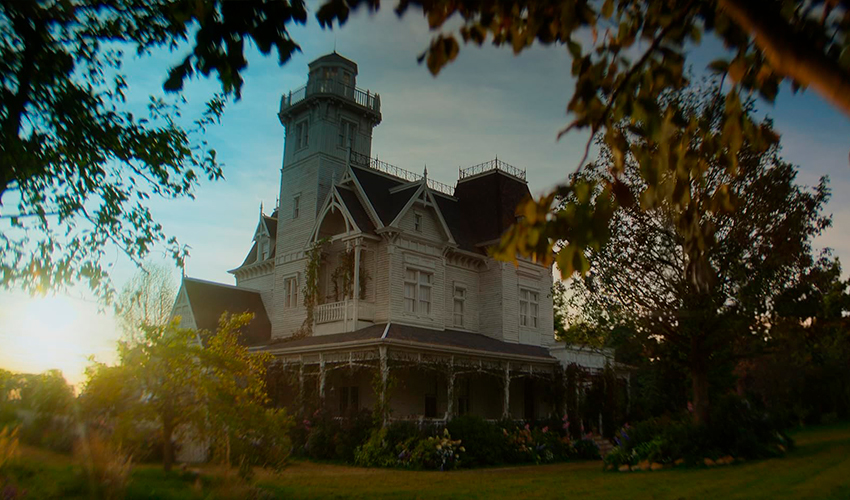 Трейлер сиквела «Практическая магия-2»