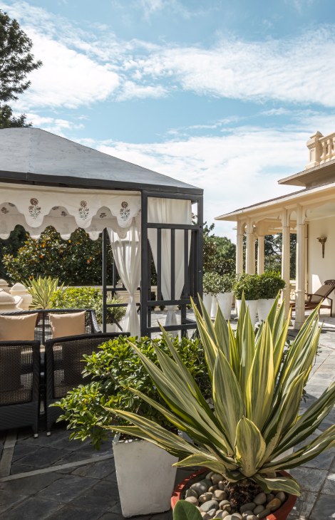 Дайджест путешественника: безвиз с&nbsp;Саудовской Аравией, велогонка на&nbsp;Байкале и&nbsp;Роберт Плант&nbsp;&mdash; на&nbsp;открытии Sani Festival 2026