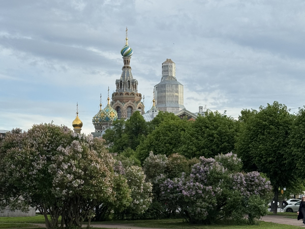 Питер Weekly: 34-й кинофестиваль &laquo;Окно в&nbsp;Европу&raquo;, летние гастроли Приморской сцены и&nbsp;цикл вечерних арт-променадов &laquo;В&nbsp;стиле Belle &Eacute;poque&raquo;