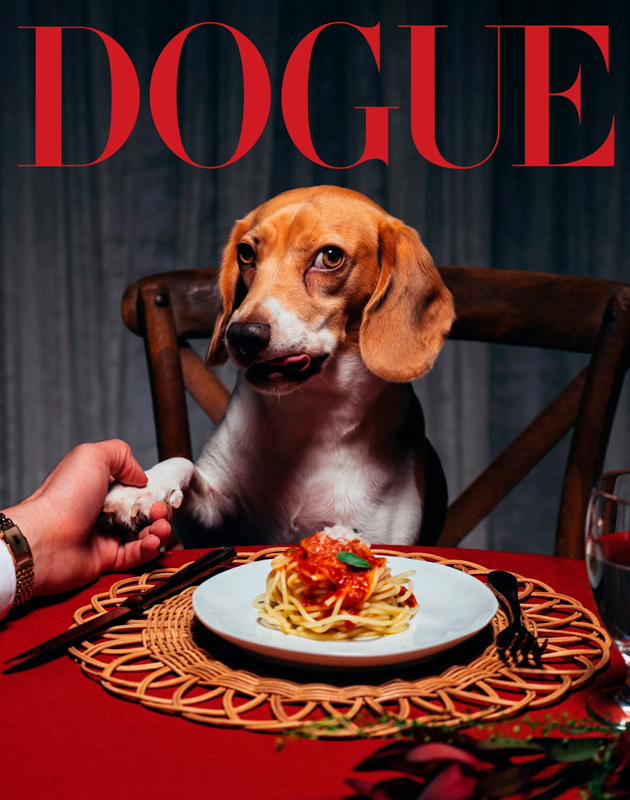 Vogue выбрал самую стильную собаку года — и выпустил спецномер Dogue