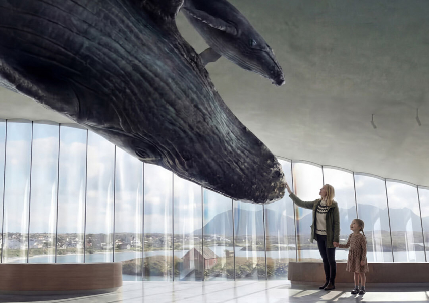 Фото: The Whale