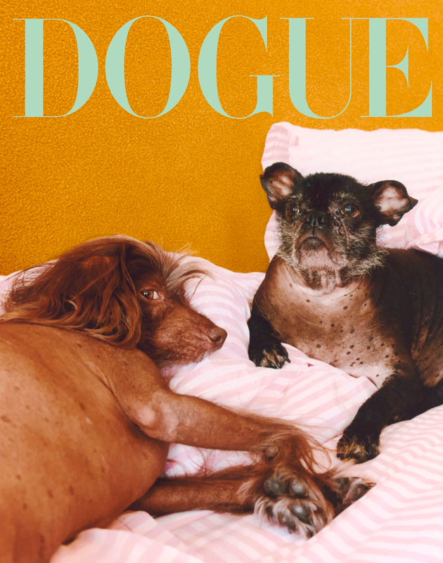 Vogue выбрал самую стильную собаку года — и выпустил спецномер Dogue