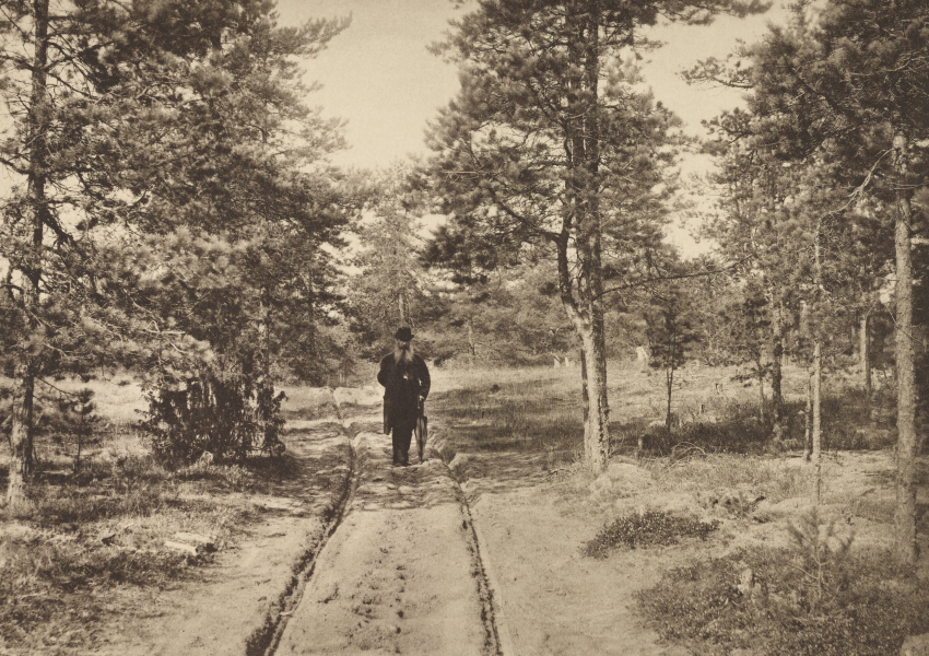 Е.П. Вишняков. Песчаная дорога в сосновом лесу. Портрет Ивана Шишкина. 1889
