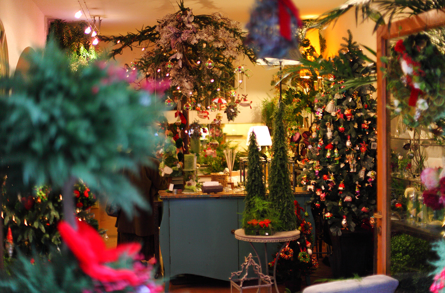 В магазин Alchemilla-Mate стоит приходить за удивительными цветочными композициями, редкими бьюти-брендами и рождественскими игрушками. А если вам не нужны покупки — то за прекрасным настроением (Via Del Governo Vecchio 15/16).
