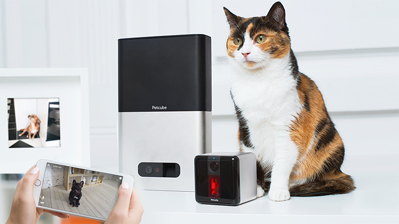 Hi-Tech Home: новости «умного» дома для поклонников Интернета вещей. «Роботы-няни» для домашних животных Petcube Play и Bites