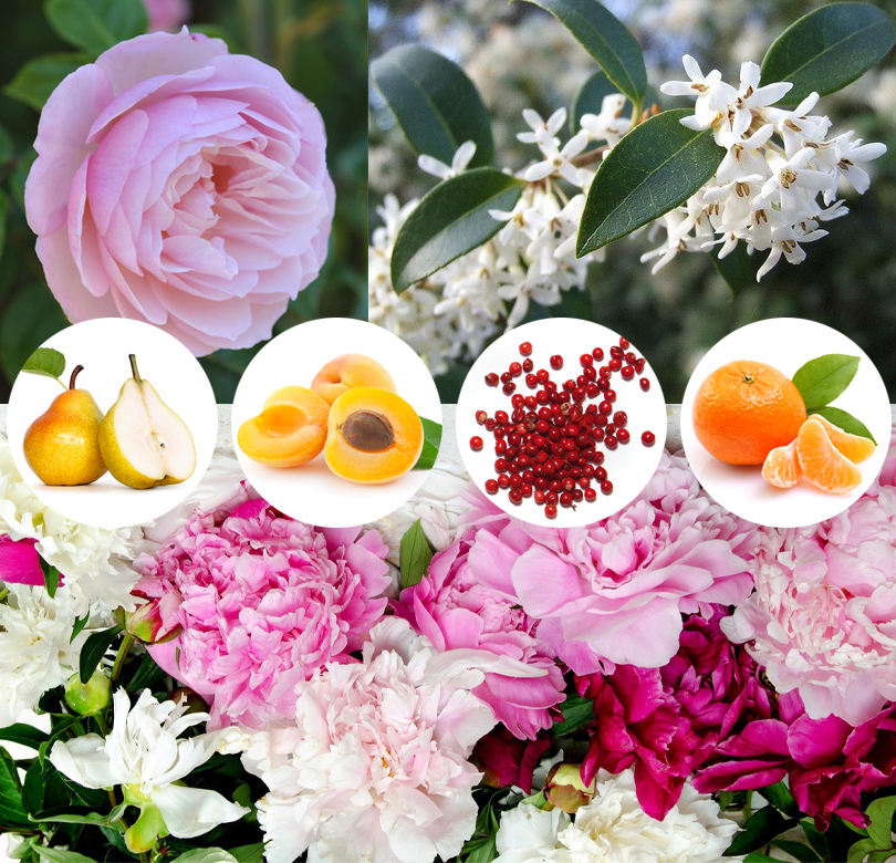 Beauty Shopping: юбилейное переиздание аромата Gucci Flora Anniversary Edition в магазинах Articoli  в магазинах Articoli